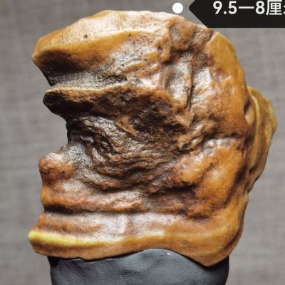 收藏级阿拉善戈壁石,头像类天花板级别象形石。