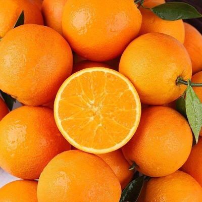 正宗脐橙橙子新鲜当季水果新鲜薄皮手剥橙超甜高山甜橙现摘现发