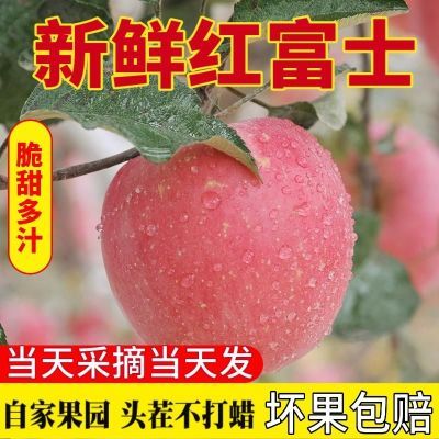 山西红富士苹果新鲜应当季孕妇水果整箱脆甜冰糖心丑苹果包邮