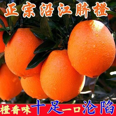 橙子新鲜脐橙新鲜应季水果超甜整箱批发薄皮非果冻橙冰糖橙赣南的