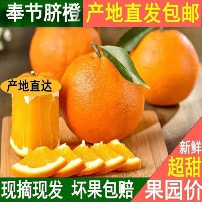 新鲜水果脐橙小甜橙子应季孕妇新鲜超甜水果正宗应季