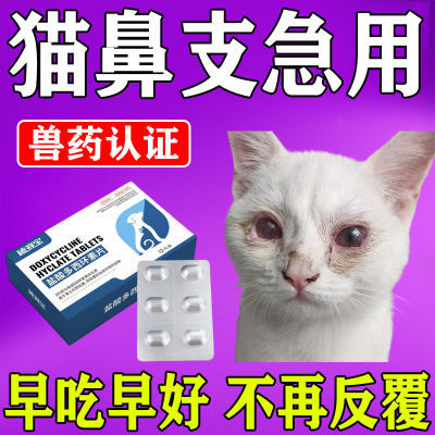 猫鼻支专用药猫咪感冒消炎呼吸道感染宠物打喷嚏流鼻涕鼻塞特效药