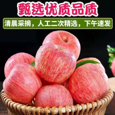【正宗】精选陕西洛川苹果红富士苹果水果脆甜冰糖心批发整箱便宜