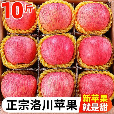 【正宗】陕西洛川红富士苹果新鲜水果大果脆甜应季批发孕妇一整箱