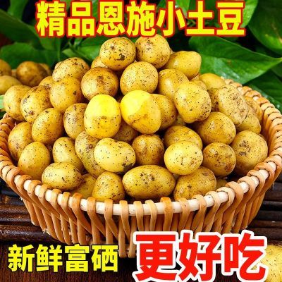 【迷你小土豆】恩施小土豆新鲜黄皮黄心马铃薯洋芋非转基因土豆