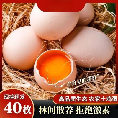 正宗散养土鸡蛋均重60红心鸡蛋大个新鲜批发价农村柴鸡蛋现捡营养