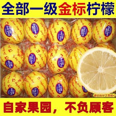 四川安岳黄柠檬新鲜特价当季鲜水果产地老果精品柠檬批发直发包邮