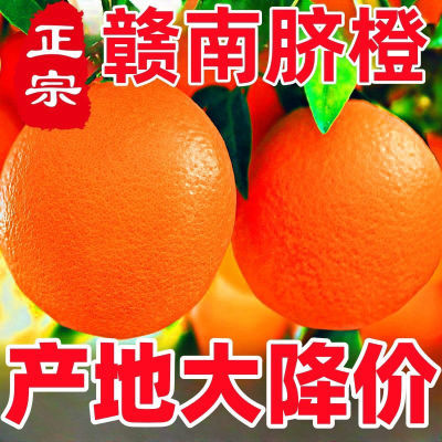 【十斤特价】正宗赣南脐橙江西甜橙赣州橙子孕妇当季新鲜水果批发