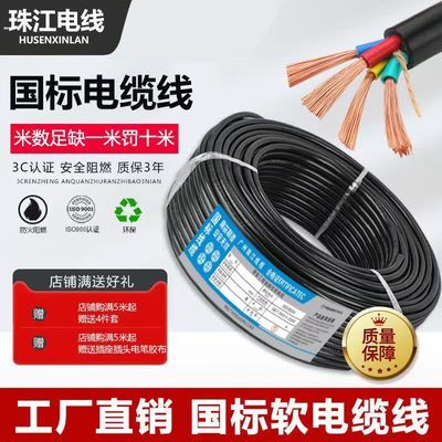 国标电线电缆线RVV阻燃防冻2/3芯护套线2.5/4/6/10平方工程电源线