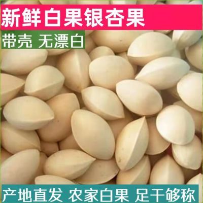 2023新鲜白果银杏果带壳特级干货漂白食用大佛泰兴邳州特产生白果