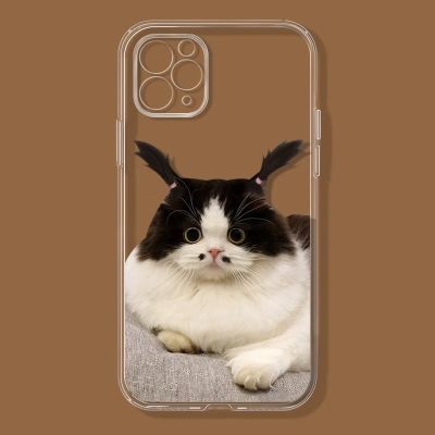 搞怪猫咪iPhone13手机壳11/12透明14plus苹果678P软Xr全包4/5s套x