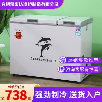 荣事达时代潮冷柜家用小型商用大容量冷藏冷冻节能双温保鲜大冰柜