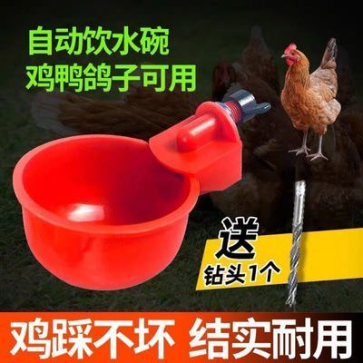 鸡用自动饮水器鸡鸭鸽子饮水碗喝水碗雏鸡鸟用饮水器鸡鹌鹑饮水器