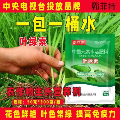 叶绿素叶面肥一喷绿玉米水稻小麦氨基酸水溶肥中量元素水溶肥料