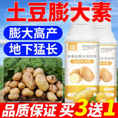 土豆膨大剂增产膨大素土豆只有叶面肥马铃薯膨大剂地下根茎膨大剂
