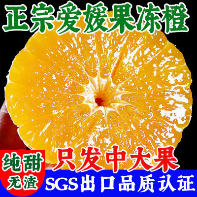 【SGS品质认证】爱媛38号果冻橙四川眉山新鲜水果桔子8斤现摘