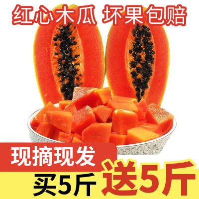 【果地批发价】海南红心牛奶木瓜10斤装/5斤/2斤新鲜木瓜当季水果