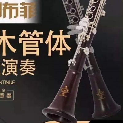 法国布菲正品单簧管进口乌木E13B18降b调17键初学专业演奏