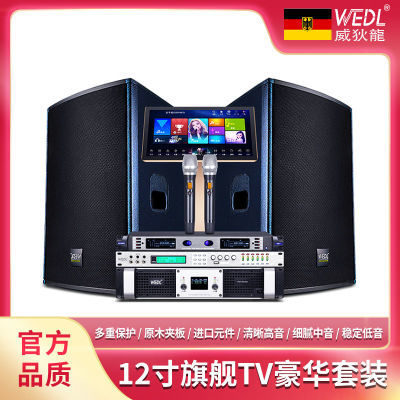 德国WEDL高端专业KTV音箱家庭别墅清吧酒吧音响套装全套K歌一体机