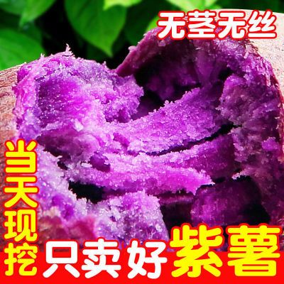 【香甜紫薯】沙地紫薯10斤新鲜紫罗兰红薯蜜薯紫地瓜蔬菜批发1斤