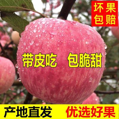 【今年新苹果】正宗冰糖心丑苹果水果新鲜应季水果批发苹果红富士