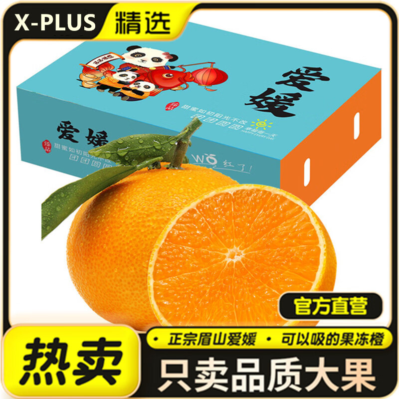 爆甜橘子 5斤大果 净重4.5斤 14粒 PLUS四川爱媛38号果冻橙 新鲜水果礼盒