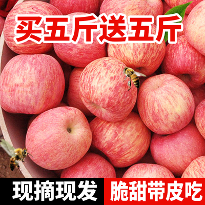陕西冰糖心红富士苹果新鲜水果10斤装(果径75MM-90MM)丑苹果包邮