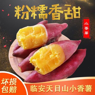 【珍果妙】临安天目山小香薯板栗番薯新鲜红薯粉糯香甜地瓜山芋