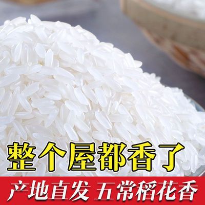 【2023新米】五常长粒香米10斤东北大米20斤批发价五常大米稻香米