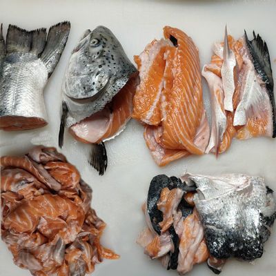 挪威进口三文鱼整条一条鱼骨新鲜大个鱼头鱼鳍碎肉鱼尾巴鱼边角料